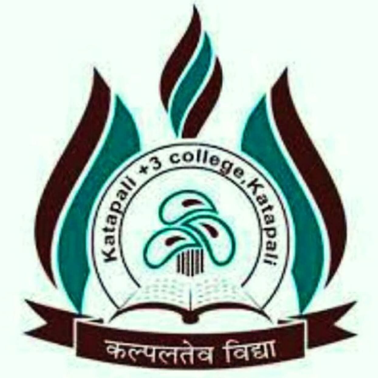 katapalicollege.in